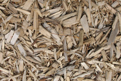 biomass boilers Allerston